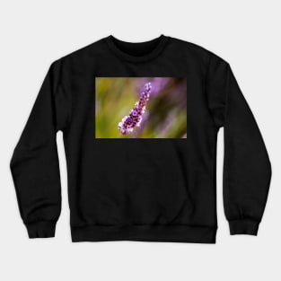 Phenomenal lavender close-up Crewneck Sweatshirt